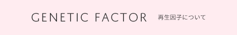 再生因子について