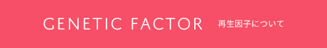 再生因子について